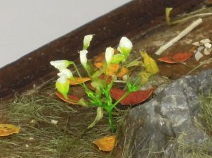 画像1: 彩葉[MS-011]白い小さな花セット(ポリエステル) (1)