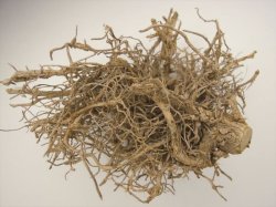 画像15: 彩葉[MS-015] 天然素材の枯れた小木セット