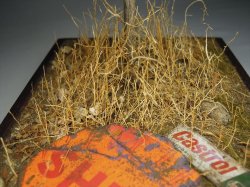 画像9: 彩葉[MS-015] 天然素材の枯れた小木セット