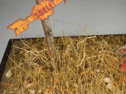 画像7: 彩葉[MS-015] 天然素材の枯れた小木セット