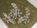 画像2: 彩葉[MS-016] 白い小さな花セット(天然素材)（2） (2)