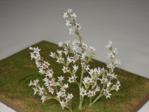 画像1: 彩葉[MS-016] 白い小さな花セット(天然素材)（2） (1)