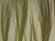画像9: 彩葉[MS-017] 穂の出た植物セット(2) (9)