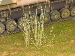 画像3: 彩葉[MS-017] 穂の出た植物セット(2)