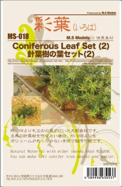 画像13: 彩葉[MS-018] 針葉樹の葉セット(2)
