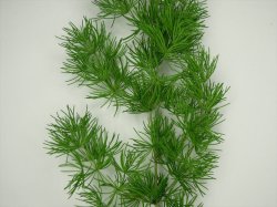 画像8: 彩葉[MS-019V]雑草の茂み増量セット(天然素材)