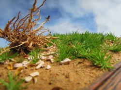 画像6: 彩葉[MS-019V]雑草の茂み増量セット(天然素材)