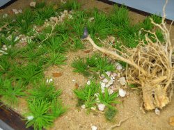 画像18: 彩葉[MS-019V]雑草の茂み増量セット(天然素材)