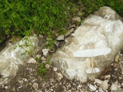 画像15: 彩葉[MS-020V]小さな葉の付いた枝増量セット(天然素材)