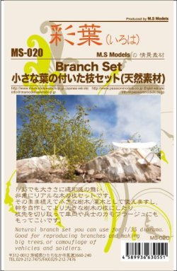 画像20: 彩葉[MS-020]小さな葉の付いた枝セット(天然素材)