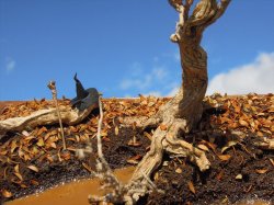 画像3: 彩葉[MS-021]古木の幹(天然素材)