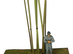 画像1: 彩葉[MS-012]竹セット (1)