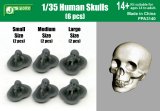 J's Work[PPA3140]1/35 Human Skulls (6 pcs)