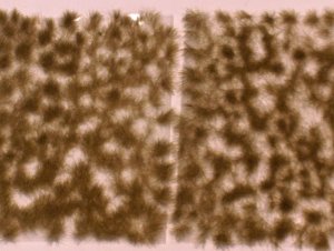 画像1: JOEFIX[JF124]茶色の草の束 (1)