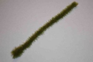 画像1: JOEFIX[JF150]春の草の帯 (1)