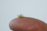 JOEFIX[JF176]明るい緑の草の束2mm