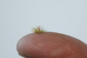 画像1: JOEFIX[JF176]明るい緑の草の束2mm (1)