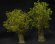 画像2: JOEFIX[JF180.35]ヨーロッパの柳のセット（レジンの幹と自然素材の枝と葉) (2)