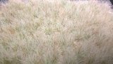 JOEFIX[JF186]冬の枯れ草の束 12mm