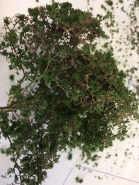 JOEFIX[JF191-6]ジオラマ素材 暗緑色の茂み(茂み用素材)