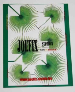 画像1: JOEFIX[JF252]椰子の葉 #3 (1)