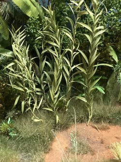 画像1: JOEFIX[JF109A]汎用 長い緑葉の植物