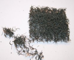 画像1: JOEFIX[JF902]ツタ系植物用小枝セット(スケールフリー)