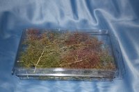 JOEFIX[JF903]樹木用枝セット低木用(スケールフリー)