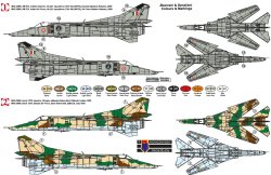 画像2: KPモデル[KPM0096]1/72 ＭｉＧ－２３ＢＮ「インターナショナル」