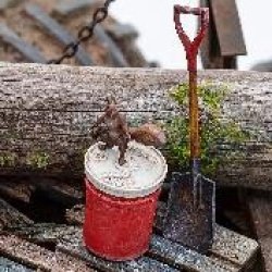 画像6: LIANG MODEL[LIANG-S003]1/35 リス & 松ぼっくりセット