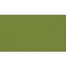 画像1: ライフカラー[UA132]LIGHT GREEN