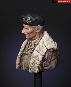 画像3: ライフミニチュア[LM-B010] 1/10 B・モントゴメリー将軍 オーバーロード作戦1944年