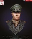 RoyalModel[RM861]1/24(75mm) WWII DAK 砂漠の狐 エルヴィン