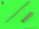 MASTER[AM-48-151]T-38 Talon / F-5B / RF-5A, E, S - Pitot Tube and 20mm gun barrels