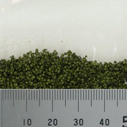 画像3: MBR[50-6001]パウダー系素材　白樺の葉（深緑）