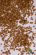 画像2: MBR[50-6003]パウダー系素材　白樺の葉（枯葉色） (2)