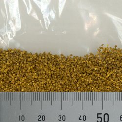 画像3: MBR[50-6003]パウダー系素材　白樺の葉（枯葉色）