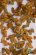 画像2: MBR[50-6007]パウダー系素材　オークの葉（秋色） (2)