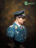 画像4: トリファクトリー[MJ10-007]1/10 ドイツ空軍エース”ヴェルナー・メルダース”