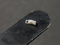 画像12: MJ Miniatures[MJEZ35001]1/35 WWII ドイツ軍OVMクランプツールセット