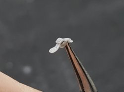 画像11: MJ Miniatures[MJEZ35002]1/35 WWII  アメリカ軍OVMクランプツールセット