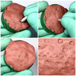 画像2: マンティス・ミニチュアズ[MAC25]1/35 ジオラマツール 動物の足跡スタンプツールセット