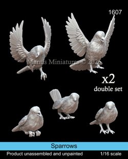 画像1: マンティス・ミニチュアズ[Man1607]1/16 動物セット スズメ