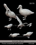 マンティス・ミニチュアズ[Man35179]1/35 動物セット53 欧州の海鳥