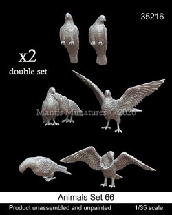 画像1: マンティス・ミニチュアズ[Man35216]1/35 動物セット66 ハト