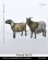 画像1: マンティス・ミニチュアズ[Man35140]1/35 動物セット38 山羊の番い (1)