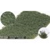 画像1: マルティン・ウエルベルク[WB-LWHG]剥離タイプ(雑草 ヘイジーグリーン) 全高12mm (1)