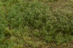 画像4: マルティン・ウエルベルク[WB-M006]マットタイプ(牧草地) 全高2mm~4.5mm 晩夏 パウダー付き 21cmx30cm