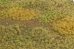 画像3: マルティン・ウエルベルク[WB-M010]マットタイプ(牧草地) 全高2mm~4.5mm 秋 パウダー付き 21cmx30cm (3)