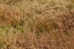 画像4: マルティン・ウエルベルク[WB-M034]マットタイプ(原野) 全高2mm~6mm 冬 パウダー付き  21cmx30cm
